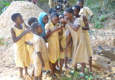 Education Environnementale au profit des écoliers et élèves riverain du site de biodiversité Fourougnèkèrè de Natitingou